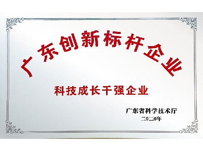 廣東創新标杆企業